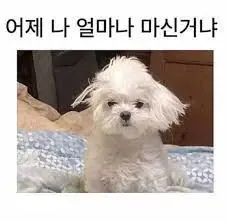 2023 프로젝트팀 워크샵