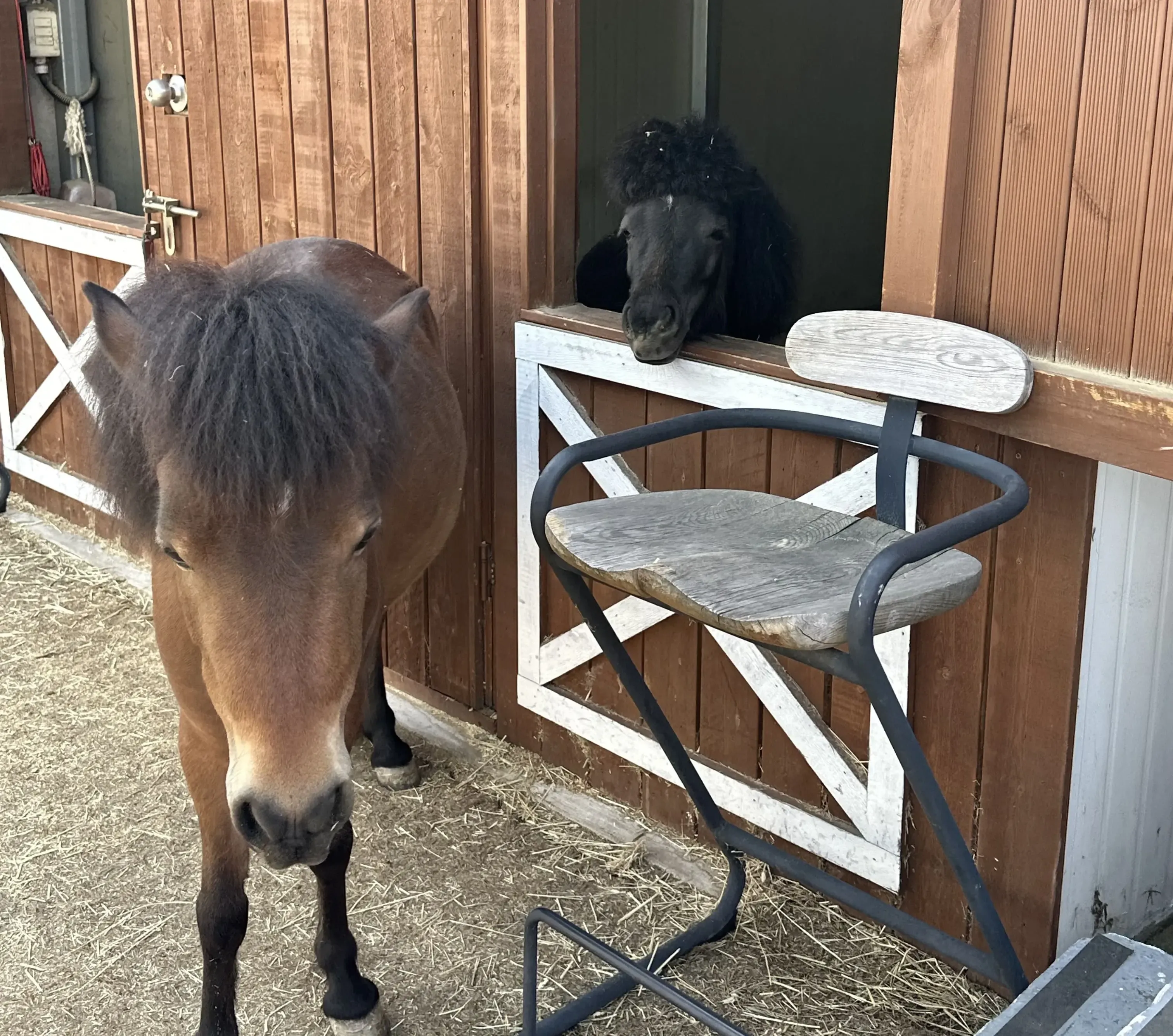 2024 디자인팀 워크샵