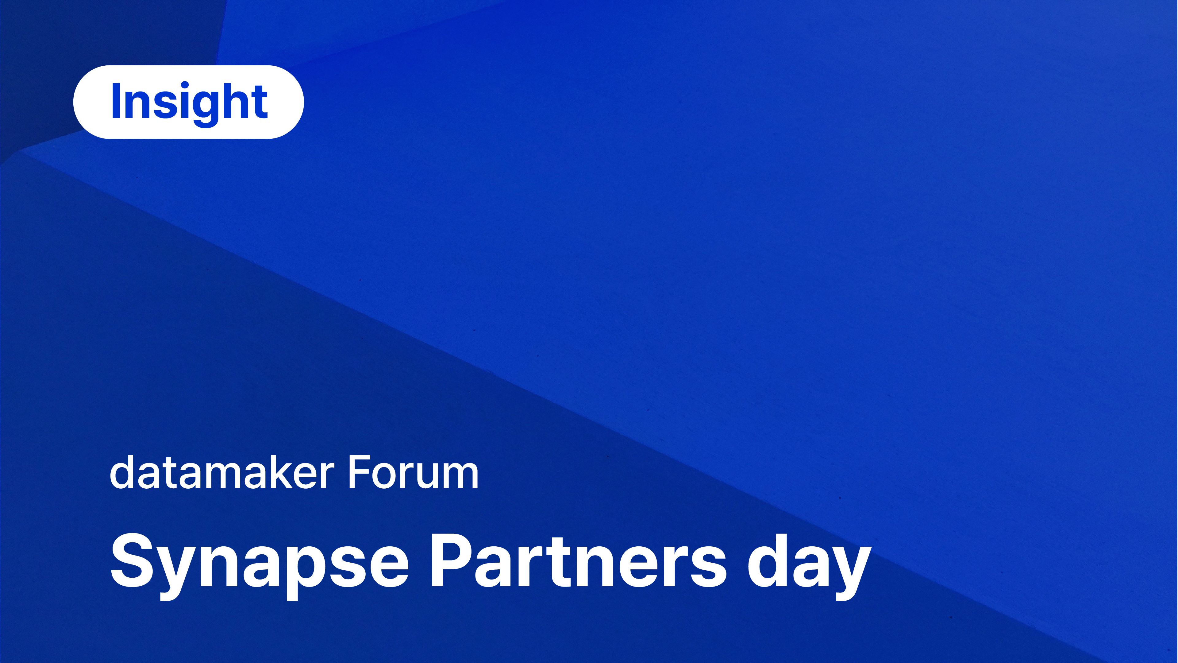 2025 datamaker Synapse Partners day