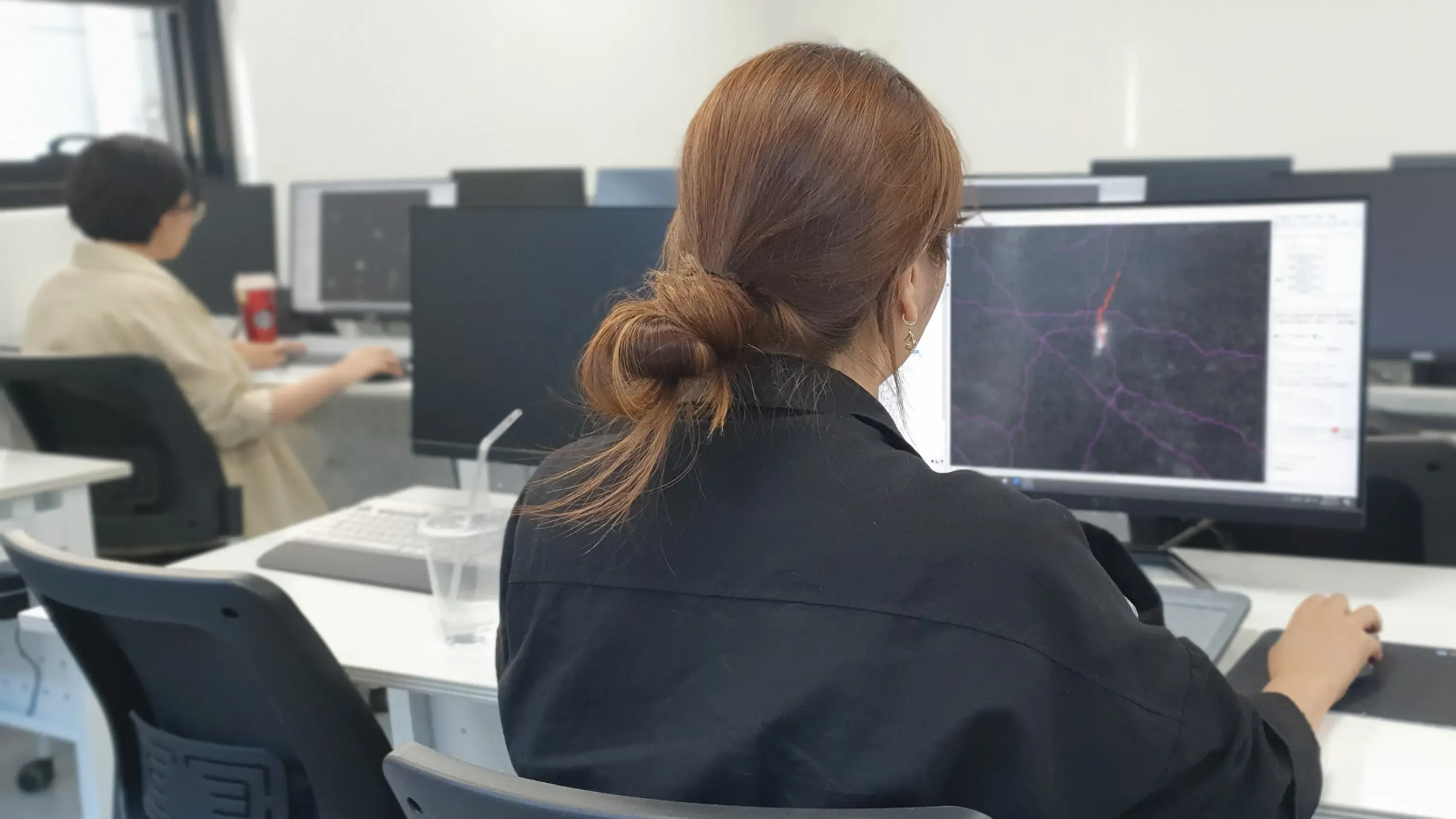 뇌 신경 세포 3D 데이터