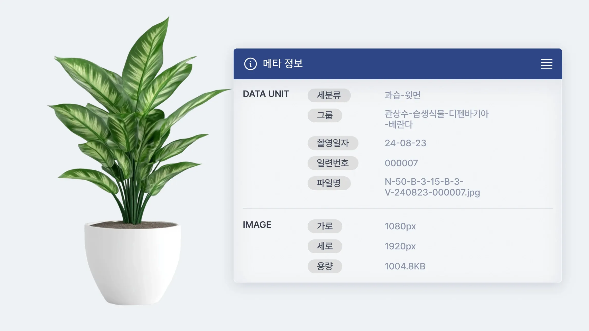 파일 정보 제공
