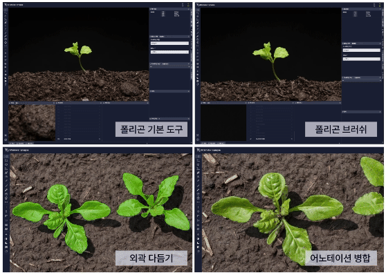 식물성장