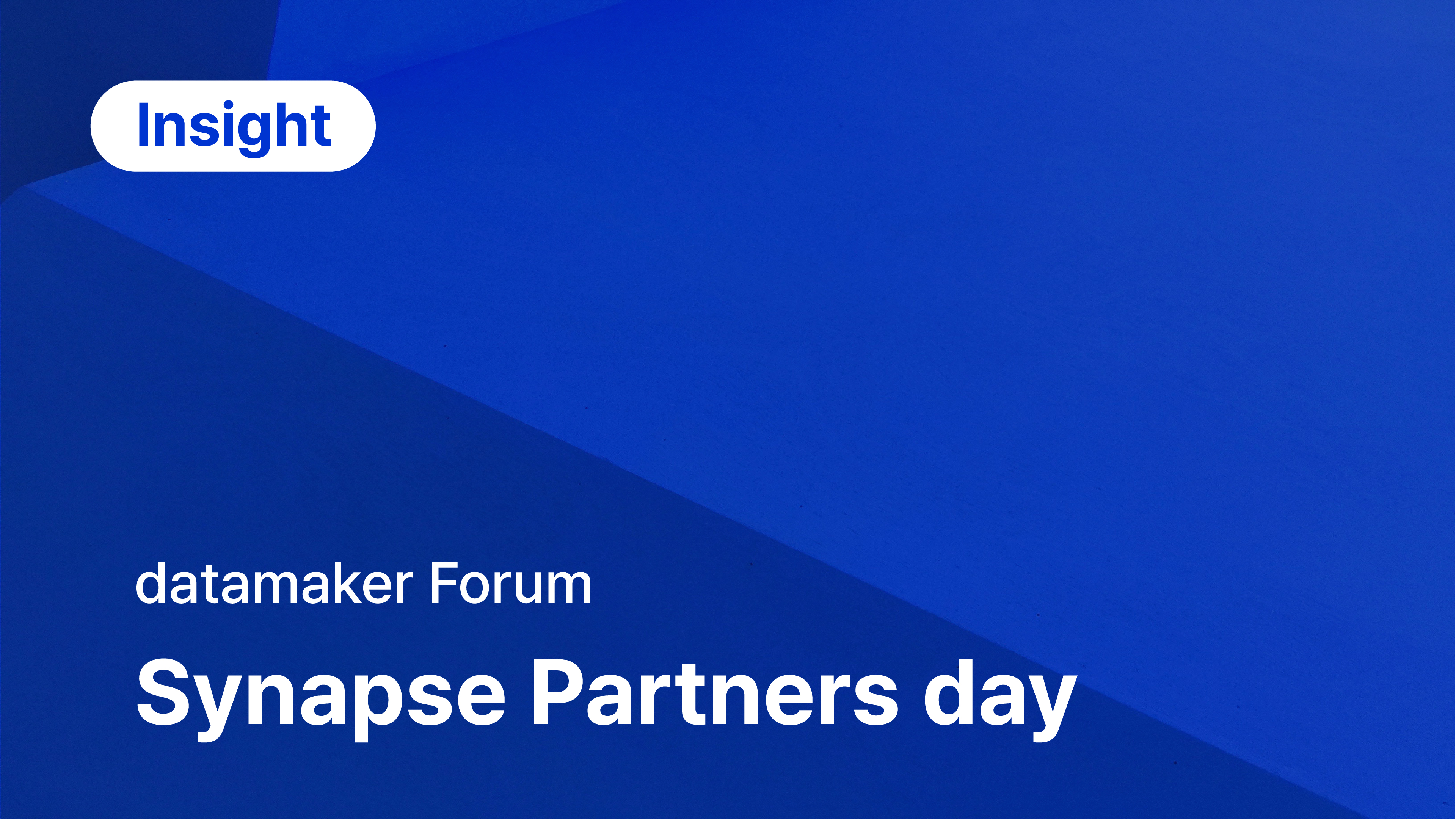 2025 datamaker Synapse Partners day - 데이터메이커